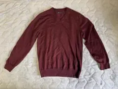 Gap イタリアンメリノ Vネックセーター バーガンディ メンズ Mサイズ