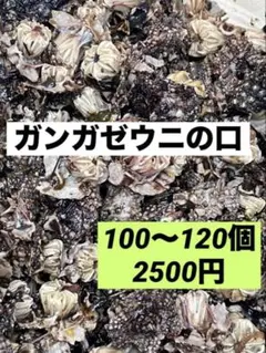 マイロ様 リクエスト 2点 まとめ商品