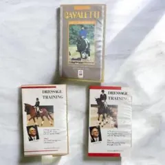 Item thumbnail for item 20358bef-0c8d-4525-97fe-402fa7079c25