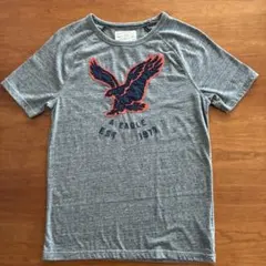 American Eagle アメリカンイーグル Tシャツ グレー メンズのサムネイル