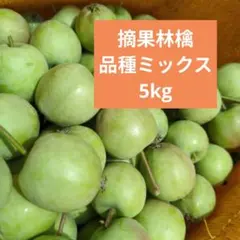 摘果りんご　加工用サンふじ林檎他ミックス　約5キロ 送料込み　52のサムネイル
