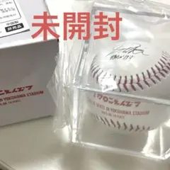 マカロニえんぴつ　サインボール　パンフレット マカロニえんぴつ 10周年特典 サインボール パンフレット - メルカリ