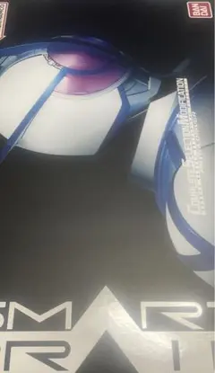 CSM サイガドライバー　箱　スチロール