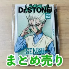 Dr.STONE グッズ まとめ売り