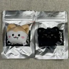 ITZY リュジン TWINZY RyuJJi セット - メルカリ