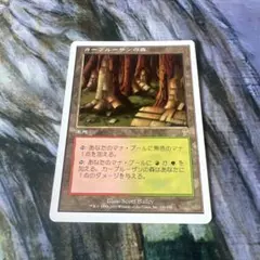カープルーザンの森/Karplusan Forest 6ED日本語2枚 - メルカリ