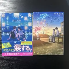 海に願いを 風に祈りを そして君に誓いを