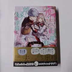 二度目まして、旦那様。離縁の準備はできまして?