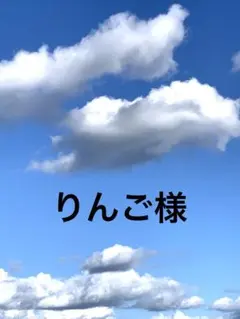 りんご / 即購入不可様 リクエスト 4点 まとめ商品