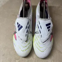 Item thumbnail for item 4f13355d-da57-43b9-a1c9-00d24fd1b165