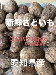 土付きさといも　栽培中無農薬農家直送