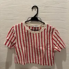ZARA クロップド丈トップス
