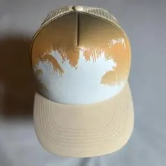 Y2K 90s 00s stussy ステューシー　メッシュ　キャップ