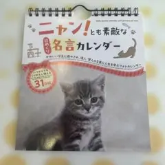 Item thumbnail for item 2a83eec1-1a06-4eaf-9854-fc3b61c0233e