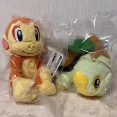 一番くじ ポケモン 30周年記念 D賞 ぬいぐるみ ヒノアラシ ワニノコ