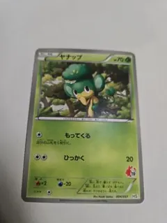 ヤナップ　HS　もってくる