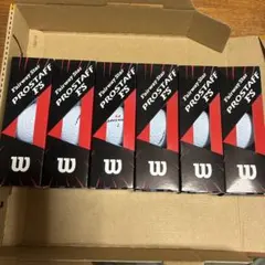 Wilson PROSTAFF FS ゴルフボール 12球セット