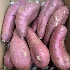 【送料無料】千葉県産　紅はるか　Mサイズ　5kg以上　25本ぐらい