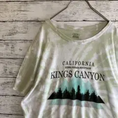 キングスキャニオン Tシャツ ブリーチ タイダイ リメイク 黄緑 XXL 古着