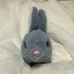 Item thumbnail for item a3808d24-8a7a-4bad-a142-a0a8b441044c