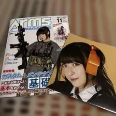 【ポスター付】ARMSMAGAZINE2020年11月号