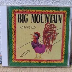 BIG MOUNTAIN WAKE UP