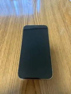 Apple iPhone 12 Pro Max 本体