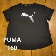 PUMA 黒 Tシャツ 160