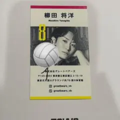 柳田将洋 バレーボール