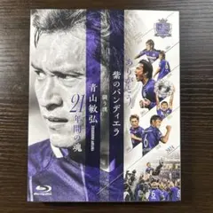 Item thumbnail for item 7c1d10de-5c17-4868-bacb-091beedda828