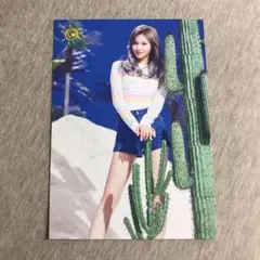 twice サナ ラントレ