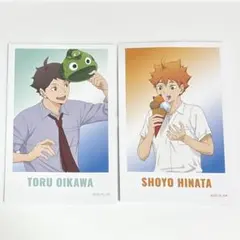 ハイキュー 及川徹 日向翔陽 ミニイラストシート コラボ