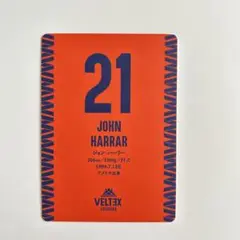 ベルテックス静岡 21番　ジョン・ハーラー 選手カード　1枚