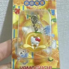 ご当地キティ　山口限定　夏みかん