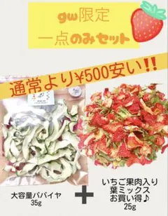 【gw限定一点のみセット割】 いちごとパパイヤ大容量セット♪ 一点のみ-500円