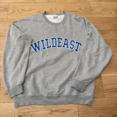 fruit of the loom スウェット