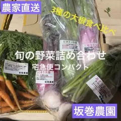 【農家直送】　旬なお野菜食べ比べ　ビタミン大根、紅くるり大根、サラダ大根