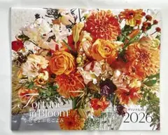 Item thumbnail for item 3705d672-a0ed-4090-94f8-7d69f3608580