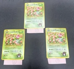 ダークフシギソウ psa10