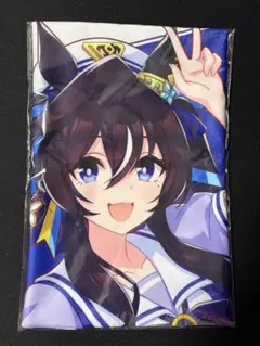 ウマ娘 プリティーダービー 缶バッジ ヴィブロス 10個セット 未使用