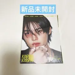 StrayKids KARMA カルマ　accordion 新品未開封　リノ