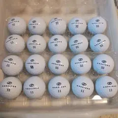 ロストボール ONESIDER 20球