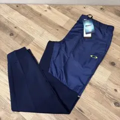 Item thumbnail for item 8fba7827-a26e-4d77-b42e-9be7c20b4b7b