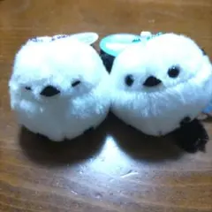 Item thumbnail for item 9c14e460-44af-4557-bb00-6c84aa959557