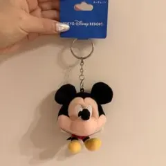 東京ディズニーリゾート ミッキーマウス ぬいぐるみキーチェーン