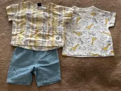 動物柄Tシャツ、水色ショートパンツ3点セット