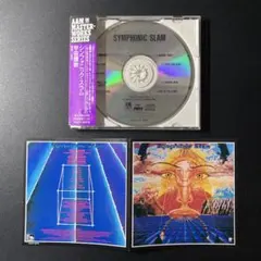 サノトモミ / サイレントフライト（LP）流線形シティポップライト