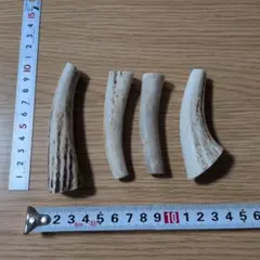 天然鹿の角　犬用品38