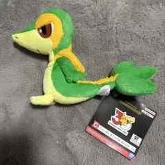 ポケモンくじ　ツタージャぬいぐるみ