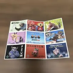 特典ズートピア2 キャラクター ステッカー　シール